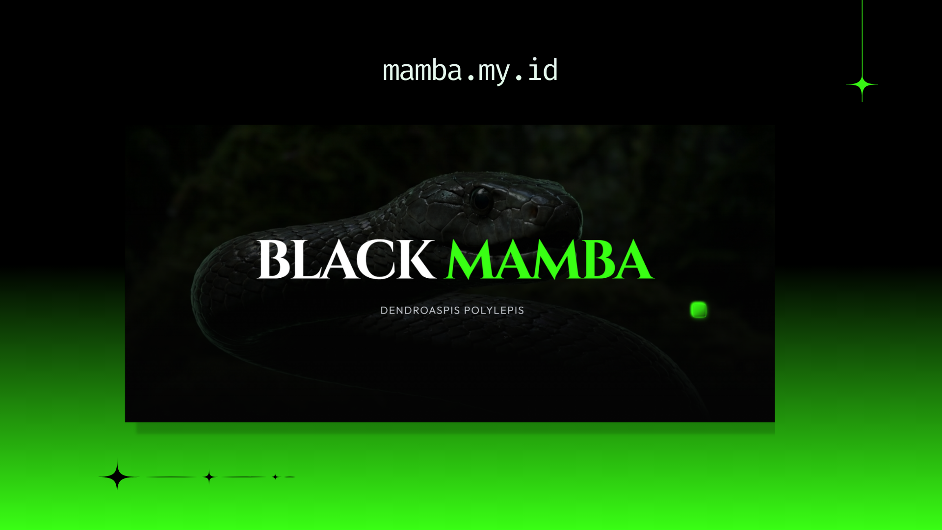 Black Mamba